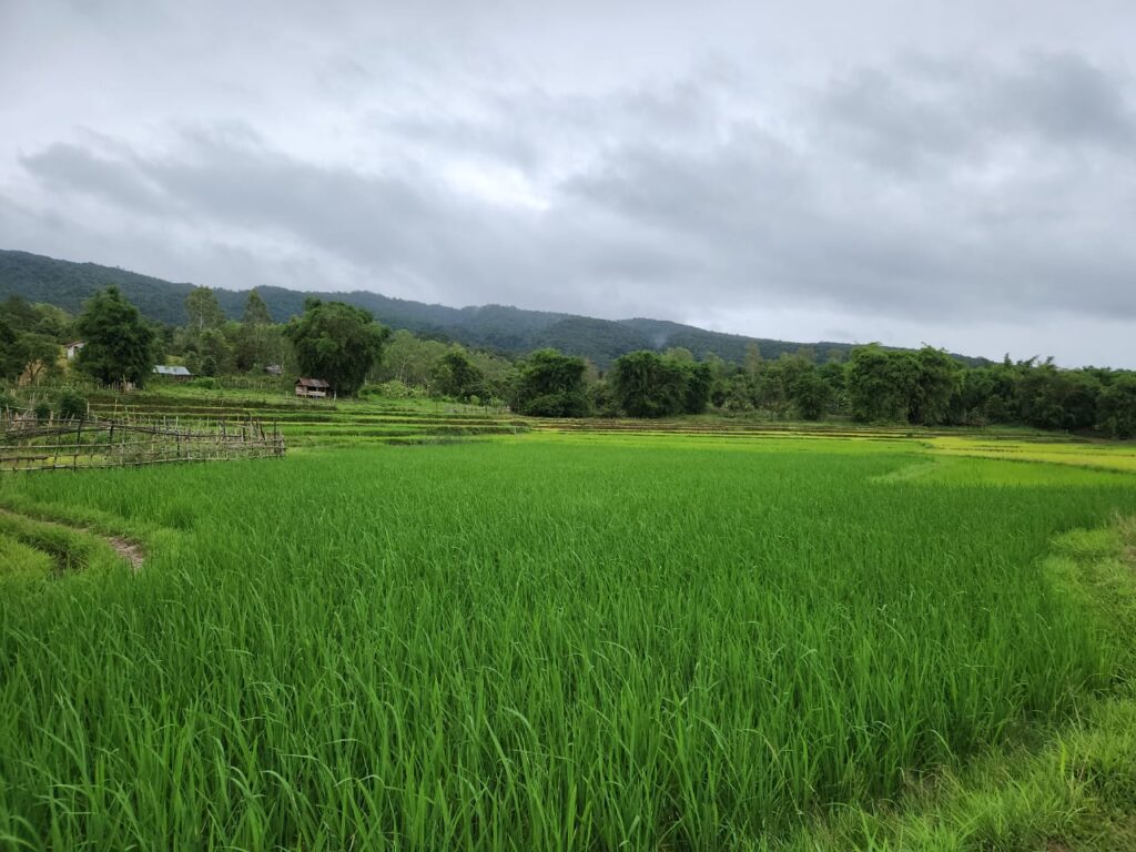 Visit the plain of jars